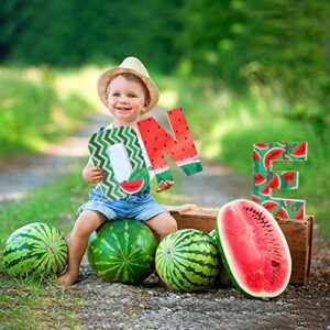 Distaratie Watermelon One Letter Sign-Red One in a Melon Cake Smash Photo Prop Watermelon First Birthday Party Decorations Large Freestanding Paper Mache 1 Year Old Number Sign