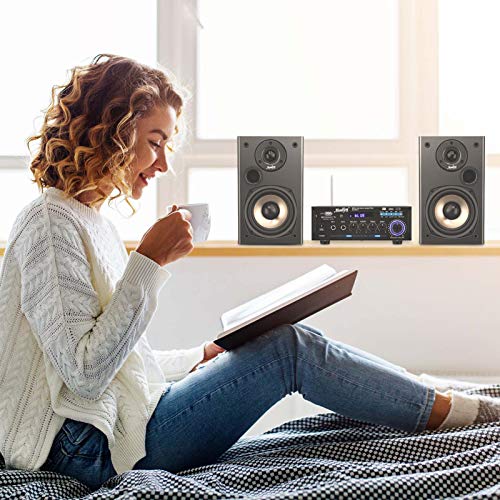 Moukey 2 Channel Amplifier for Stereo Audio Speakers Bluetooth 5.0 - Portable RMS 100W, Desktop Power Receivers with FM Radio, MP3/USB/SD Readers, 2 Mic Input, Remote MAMP3