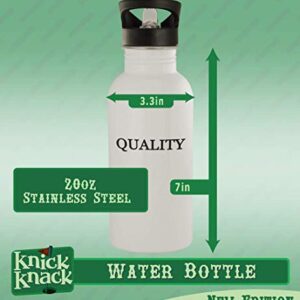 Knick Knack Gifts #skinfuls - 20oz Stainless Steel Water Bottle, Silver