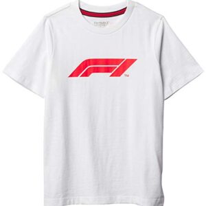 Fuel For Fans Youth Formula 1 F1 Tech Collection Large Logo T-Shirt, White, Youth S (8)