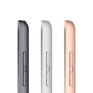 Apple 2020 iPad (10.2-inch, Wi-Fi, 32GB) - Silver (8th Generation)