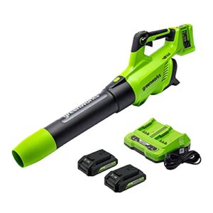 greenworks 2 x 24v (48v) cordless axial leaf blower (125 mph / 515 cfm / 125+ compatible tools), (2) 2.0ah batteries and dual port charger included