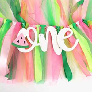 One Person in the Watermelon Banner- 1st Birthday High Chair Banner, Smashed Cake, Photo Background Props, Piece Skirt (Watermelon Banner)