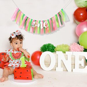 One Person in the Watermelon Banner- 1st Birthday High Chair Banner, Smashed Cake, Photo Background Props, Piece Skirt (Watermelon Banner)