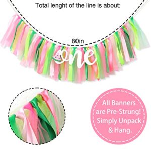 One Person in the Watermelon Banner- 1st Birthday High Chair Banner, Smashed Cake, Photo Background Props, Piece Skirt (Watermelon Banner)