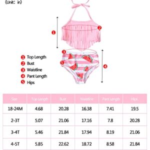 4T Toddler Girl Swimsuit Little Kids Triangle Bikini Tassel Halter Tankini Top 2pc Watermelon Bathing Suit 4T 5T Swimsuit for Girls Light Pink