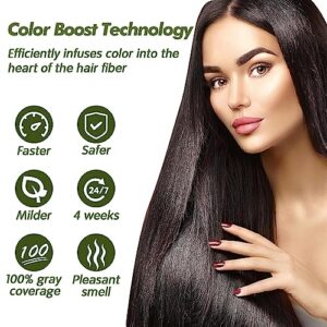 Black Hair Shampoo-Dexe Black Hair Shampoo for Natural Hair,Temporary Instant Hair Dye Maintain for Men and Women Black Color/Easy to Use/Last 30 days/Natural Ingredients (Pack of 10)