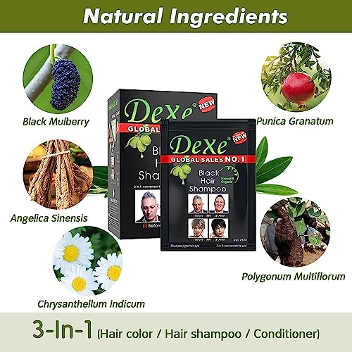 Black Hair Shampoo-Dexe Black Hair Shampoo for Natural Hair,Temporary Instant Hair Dye Maintain for Men and Women Black Color/Easy to Use/Last 30 days/Natural Ingredients (Pack of 10)