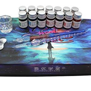 XIAOYU Glass Dip Pen Set, 18 Pieces Calligraphy Pens Set - 14 Color Inks, Pen Holder, Cleaning Cup, 2 Crystal Glass Pens for Art, Writing, Drawing, Signatures