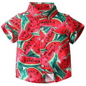 Unique Baby Boys Fun Watermelon Print Short Sleeve Polo Shirts, Red, 12-18 Months = Tag 90