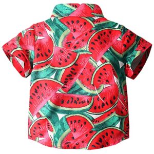 Unique Baby Boys Fun Watermelon Print Short Sleeve Polo Shirts, Red, 12-18 Months = Tag 90