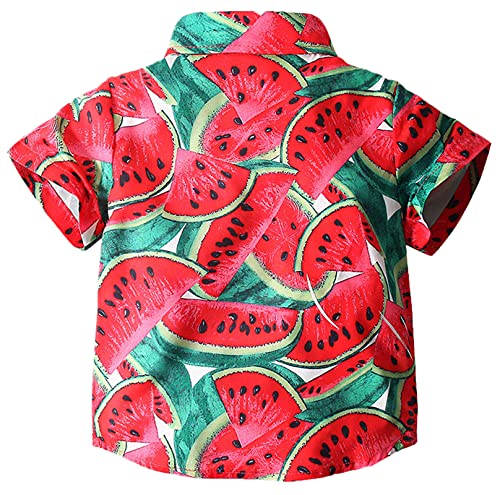 Unique Baby Boys Fun Watermelon Print Short Sleeve Polo Shirts, Red, 12-18 Months = Tag 90