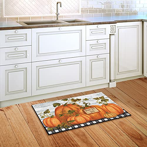 Briarwood Lane Happy Fall Y'all Pumpkins Primitive Doormat Autumn Indoor Outdoor 30" x 18"