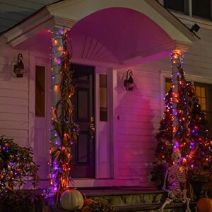 DAZZLE BRIGHT Halloween 300 LED String Lights, 100FT String Lights with 8 Lighting Modes, Halloween Decorations for Party Carnival Supplies, Outdoor Yard Garden Decor (Purple & Orange)