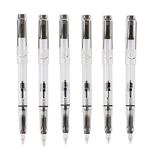 Lanxivi Yongsheng Calligraphy Fountain Pen Set Transparent Clear, 6 Assorted Tip Sizes for Art Drawing and Writing Signature