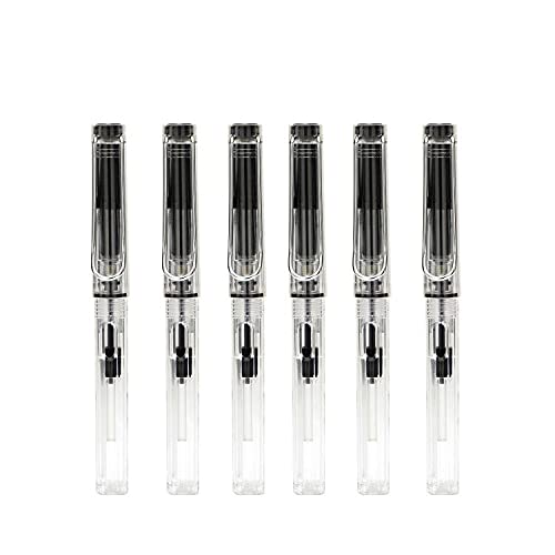 Lanxivi Yongsheng Calligraphy Fountain Pen Set Transparent Clear, 6 Assorted Tip Sizes for Art Drawing and Writing Signature