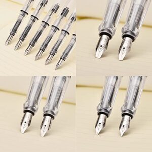 Lanxivi Yongsheng Calligraphy Fountain Pen Set Transparent Clear, 6 Assorted Tip Sizes for Art Drawing and Writing Signature