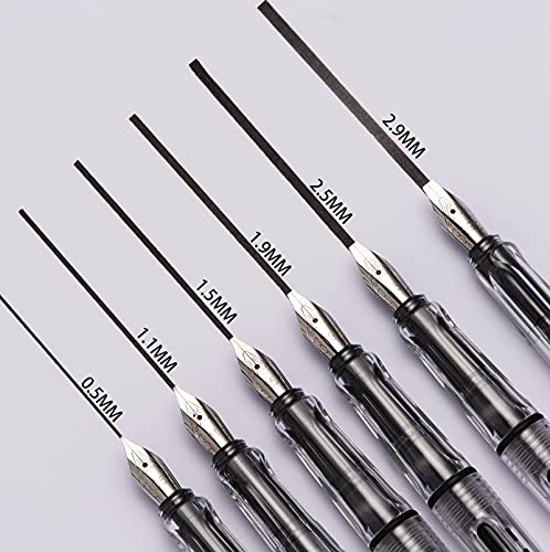 Lanxivi Yongsheng Calligraphy Fountain Pen Set Transparent Clear, 6 Assorted Tip Sizes for Art Drawing and Writing Signature