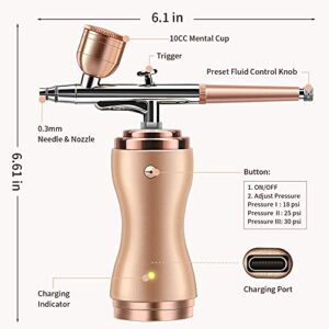 Airbrush Kit with Compressor 30PSI Portable Airbrush Gun Rechargeable Handheld Cordless Air Brush for Nails Art, Painting, Cake Decor, Cookie, Mode, Makeup, Barber (Gold)