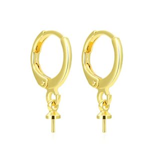 20pcs adabele hypoallergenic tarnish resistant 14mm (0.55 inch) gold round leverback huggies earring hooks with 3mm secure screw eye peg bail bf265