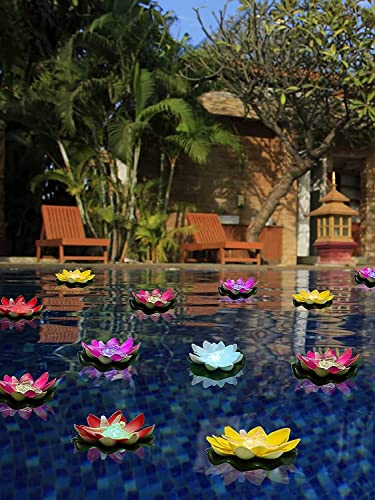 LOGUIDE Floating Pool Lights,Lily pad Pond Light LED Lotus Flower Lamp,Battery Operated Multicolor Fun Pool Accessories for Pool at Night-Outdoor Swimming Gifts Christmas Decorations-6 Pcs(Dragonfly)