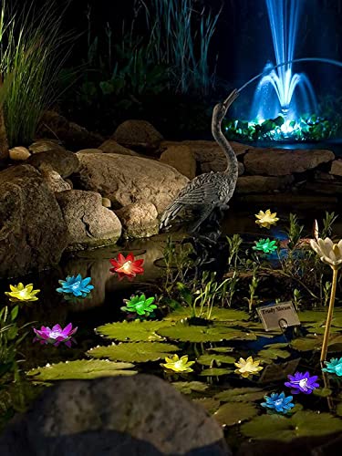 LOGUIDE Floating Pool Lights,Lily pad Pond Light LED Lotus Flower Lamp,Battery Operated Multicolor Fun Pool Accessories for Pool at Night-Outdoor Swimming Gifts Christmas Decorations-6 Pcs(Dragonfly)