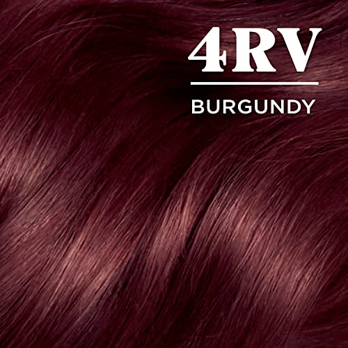 Clairol Nice'n Easy Permanent Hair Dye, 4RV Burgundy Hair Color, Pack of 1