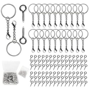 key chain rings bulk, fanmaous 60pcs split key ring 1 inch/25mm silver key chain kit with jump rings lobster clasp and 100pcs screw eye pins bulk for crafts jewerly making