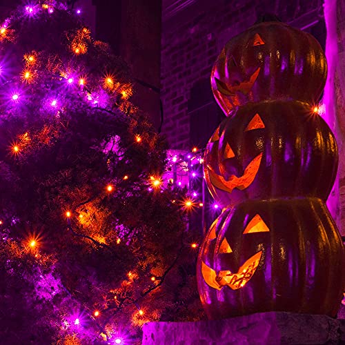 Dazzle Bright 200 LED Halloween Mini String Lights, 65FT Connectable Waterproof Plug in with 8 Modes Lights for Indoor Outdoor Patio Garden Party Decorations (Purple & Orange)