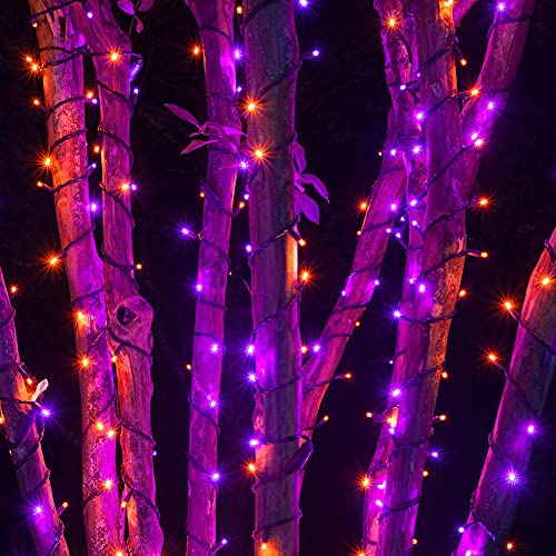 Dazzle Bright 200 LED Halloween Mini String Lights, 65FT Connectable Waterproof Plug in with 8 Modes Lights for Indoor Outdoor Patio Garden Party Decorations (Purple & Orange)