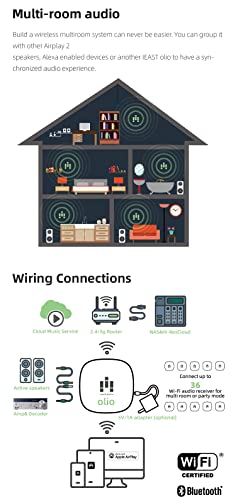 iEAST Olio AirPlay 2 Streaming Audio Receiver Adapter Works with Siri WiFi and Bluetooth Spotify&Tidal Connect Direct Multiroom Multizone Supporting 192khz/24bit Hi-Res Audio