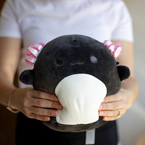 Squishmallows 8" Jaelyn The Black Axolotl - Officially Licensed Kellytoy Plush - Collectible Soft & Squishy Axolotl Stuffed Animal Toy - Add to Your Squad - Gift for Kids, Girls & Boys - 8 Inch
