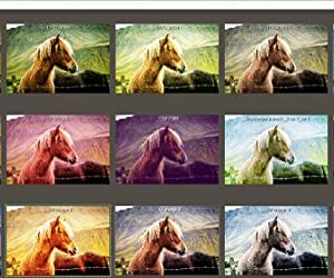 LUT #1 Professional – Apply image styles to other photos easily - photo editing software compatible with Windows 11, 10, 8 and 7