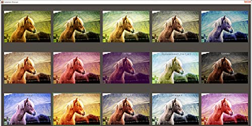 LUT #1 Professional – Apply image styles to other photos easily - photo editing software compatible with Windows 11, 10, 8 and 7