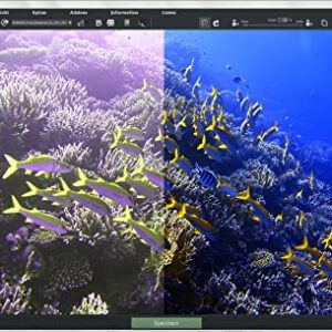 DIVE #1 Professional – Improve your underwater photos easily - photo editing software compatible with Windows 11, 10, 8 and 7