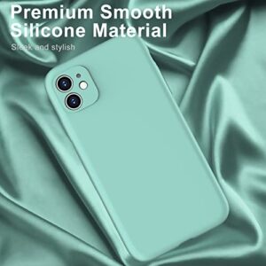DEENAKIN iPhone 11 Case with Screen Protector,Pass 16ft Drop Test Shockproof Durable Soft Flexible Silicone Gel Rubber Cover,Slim Fit Protective Phone Case for iPhone 11 6.1" Ice Teal