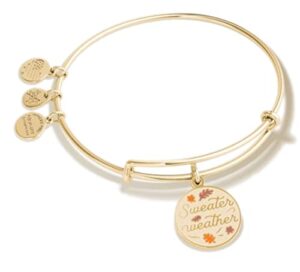 alex and ani connections expandable bangle for women, sweater weather charm, shiny gold finish, 2 to 3.5 in