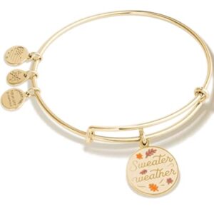 Alex and Ani Connections Expandable Bangle for Women, Sweater Weather Charm, Shiny Gold Finish, 2 to 3.5 in