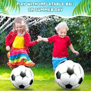 Charniol 24 Pieces Inflatable Beach Ball 14 Inch 16 Inch Beach Soccer Ball Blow up Pool Ball Inflatable Soccer Ball Beach Game Toys for Summer Outdoor Swimming Pool Games Activity Party Favors Decor