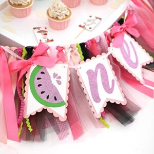 Watermelon High Chair Banner - One in A Melon Watermelon Theme,Pink Watermelon,Watermelon Party Decorations,Smash Cake Photo Prop Backdrop,Girls Firs,Summer Fruit Theme Watermelon First Birthday Party Decorations