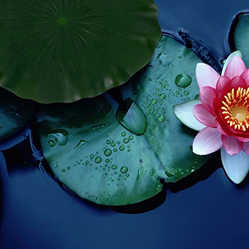 Hemoton Pond Plants Lilly Pads Resin Water Plant 3Pcs Artificial Floating Foam Leaves, Artificial Foliage Pond Decor (11inch/ 28cm) Floating Aquarium Plants Flower Plants Decor