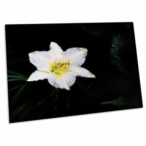 3drose white day lilly rising out of shadows - desk pad place mats (dpd-336453-1)
