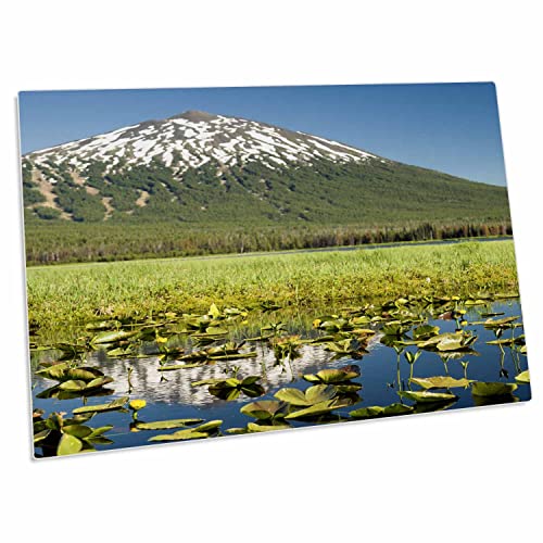 3dRose Lilly Pads, Marsh at Dutchman Flats, Near Sparks Lake,... - Desk Pad Place Mats (dpd-332029-1)