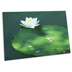 3drose florene flower - white lotus blossom on green lily pad - desk pad place mats (dpd-44783-1)