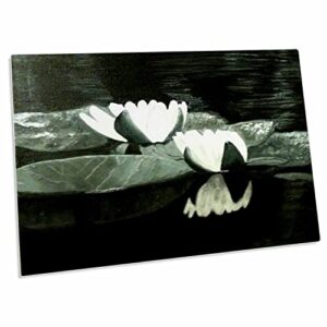 3drose a black and white painting of lilly pads in water - desk pad place mats (dpd-128273-1)