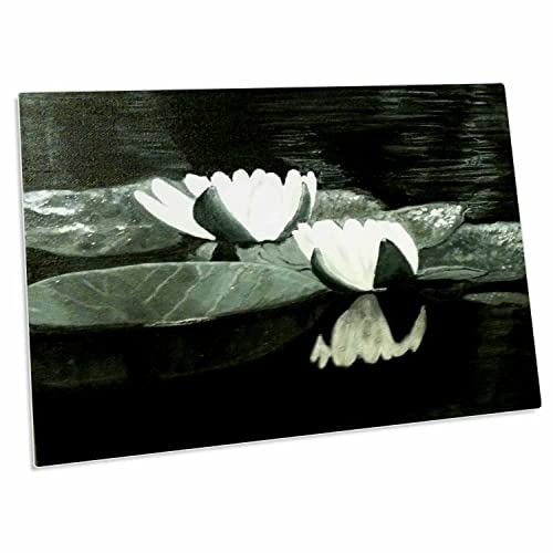 3dRose A Black and White Painting of Lilly Pads in Water - Desk Pad Place Mats (dpd-128273-1)