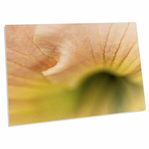 3drose pink day lilly up close - desk pad place mats (dpd-336444-1)