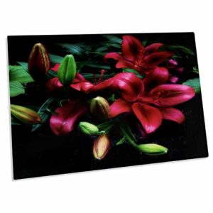 3drose red day lilly with red and green blooms - desk pad place mats (dpd-336442-1)