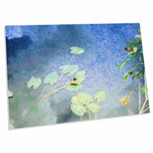 3drose image of lily pads at hickey creek lehigh acres florida - desk pad place mats (dpd-336037-1)