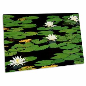 3drose florene flowers - white water liliies float on lily pads - desk pad place mats (dpd-57674-1)